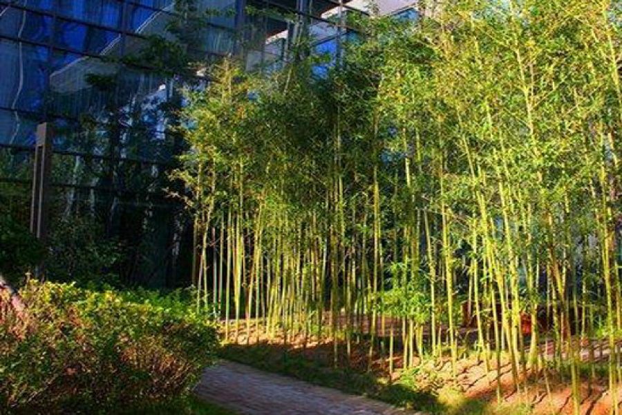Zhongjian Yanqi Lake View Hotel Πεκίνο Εξωτερικό φωτογραφία